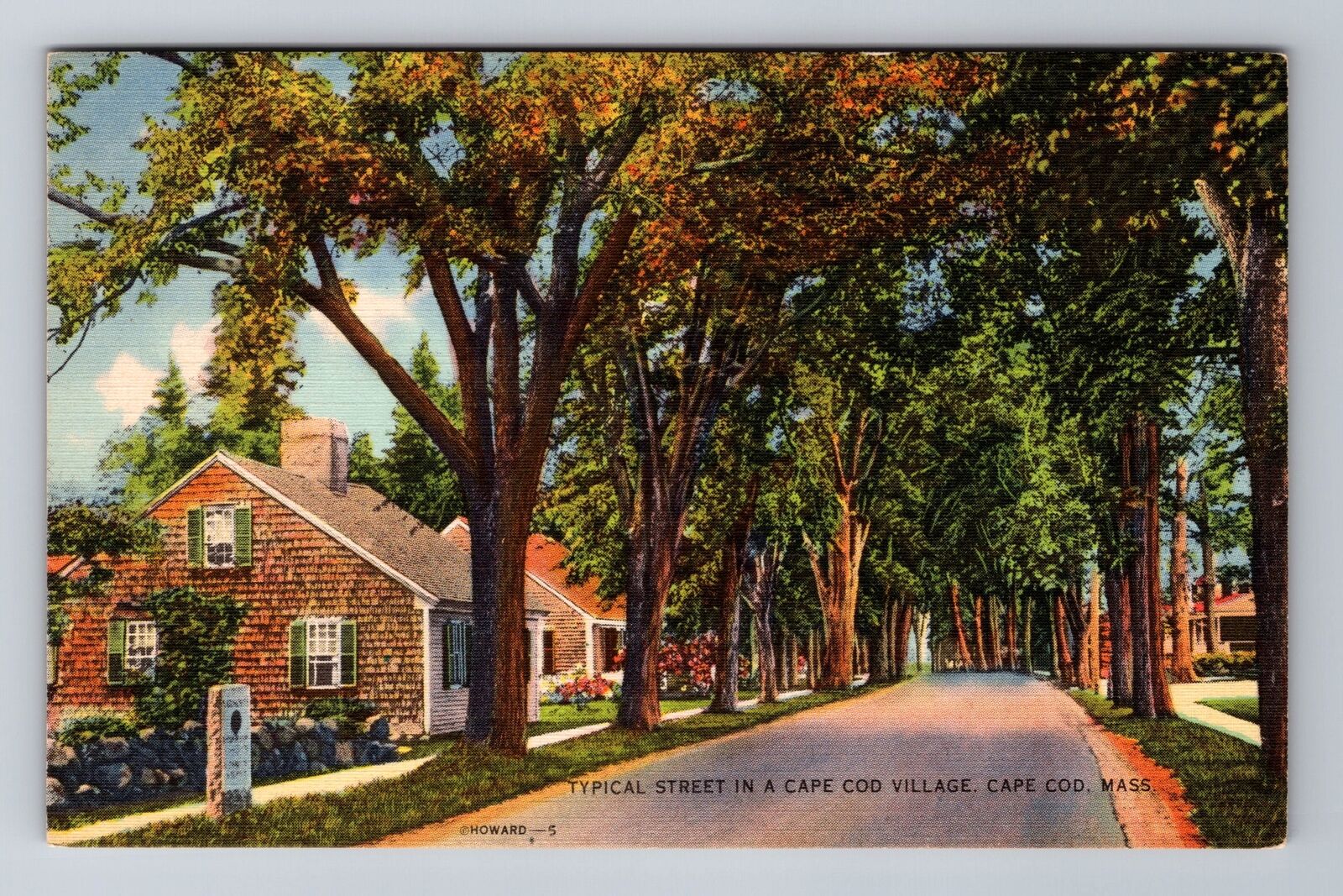 Cape Cod MA-Massachusetts, Typical Street Cape Cod Village, Vintage Postcard