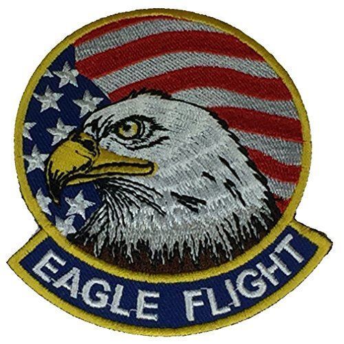 USAF F-15 EAGLE FLIGHT PATCH AIRCRAFT AIR FORCE