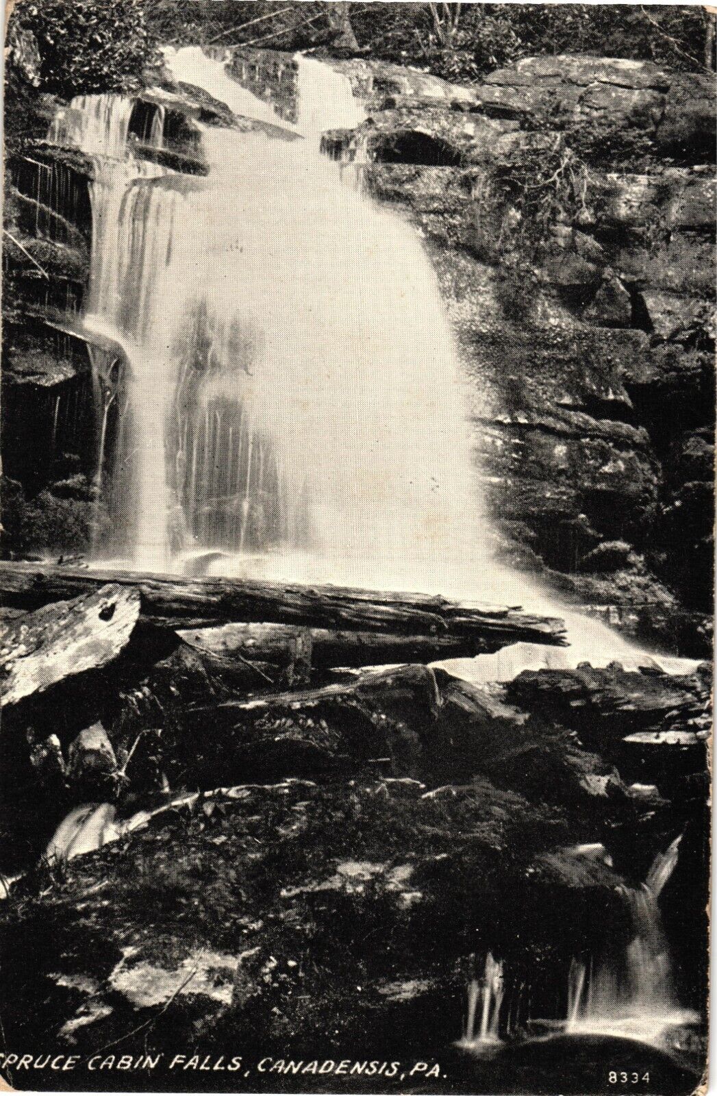 Spruce Cabin Falls Canadensis PA Divided Unposted Postcard 1908
