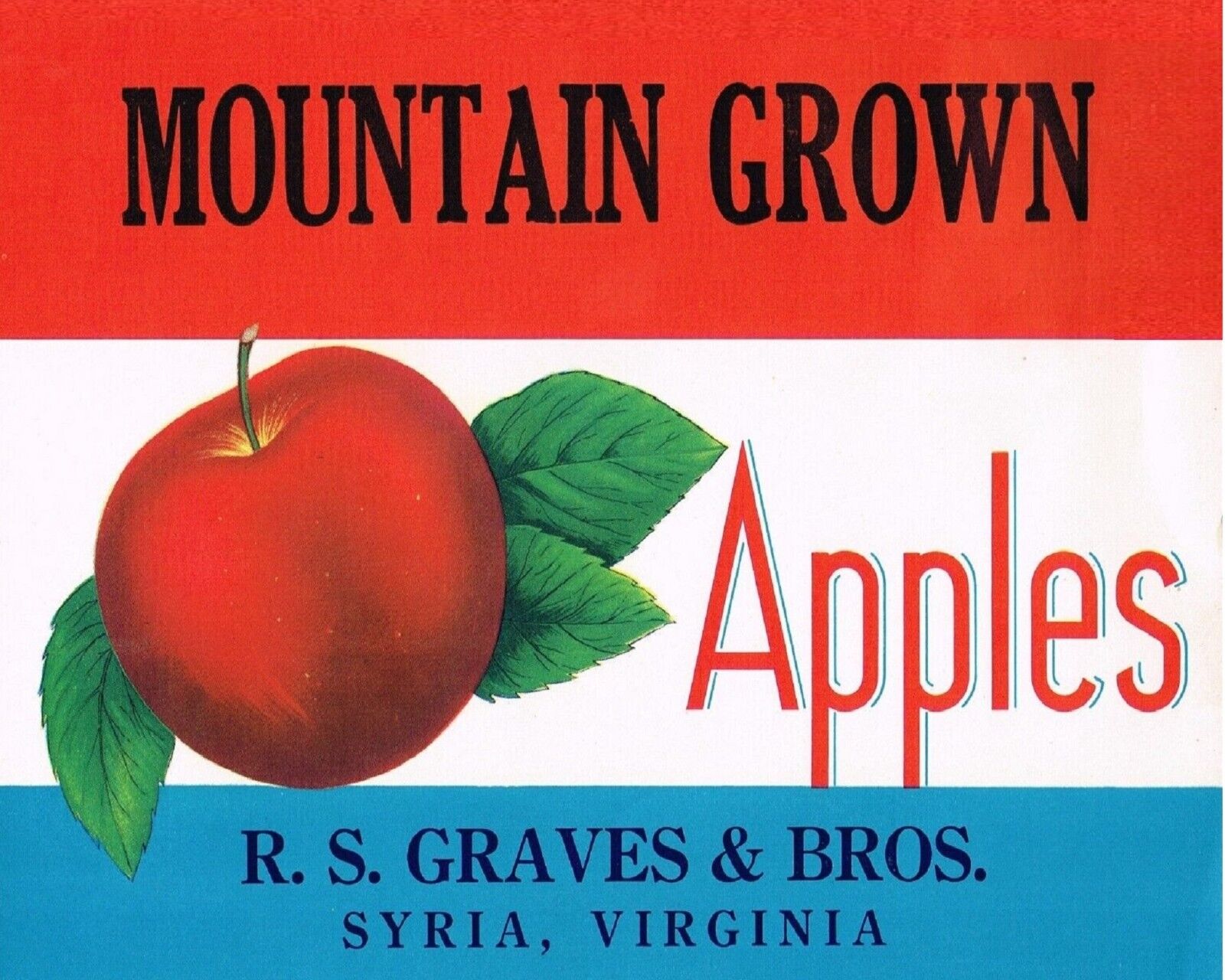 Mountain Grown Brand Apples Syria Virginia Retro Fruit Crate Label Art Print