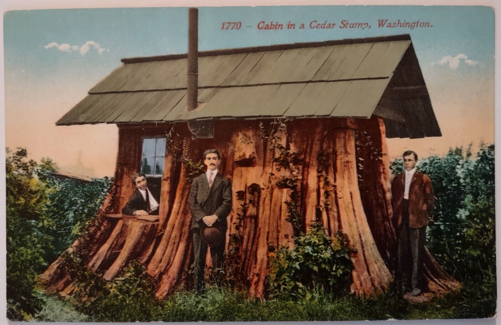 Vintage Cabin in Cedar Stump Washington Postcard 1912 Divided Back