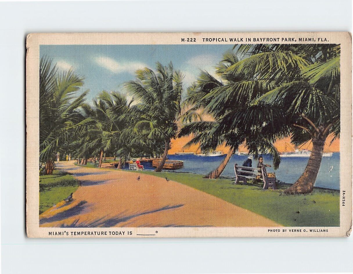 Postcard Tropical Walk in Bayfront Park Miami Florida USA
