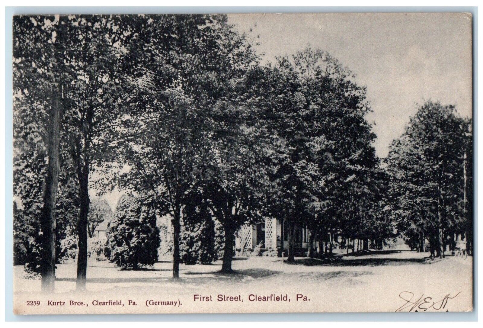 1907 Scenic View First Street Clearfield Pennsylvania Antique Vintage Postcard