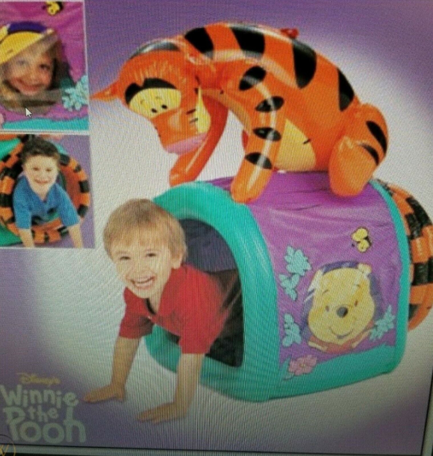 Winnie The Pooh Tiggerific Tunnel Inflatable 2007 Fisher-Price Mattel Disney Toy