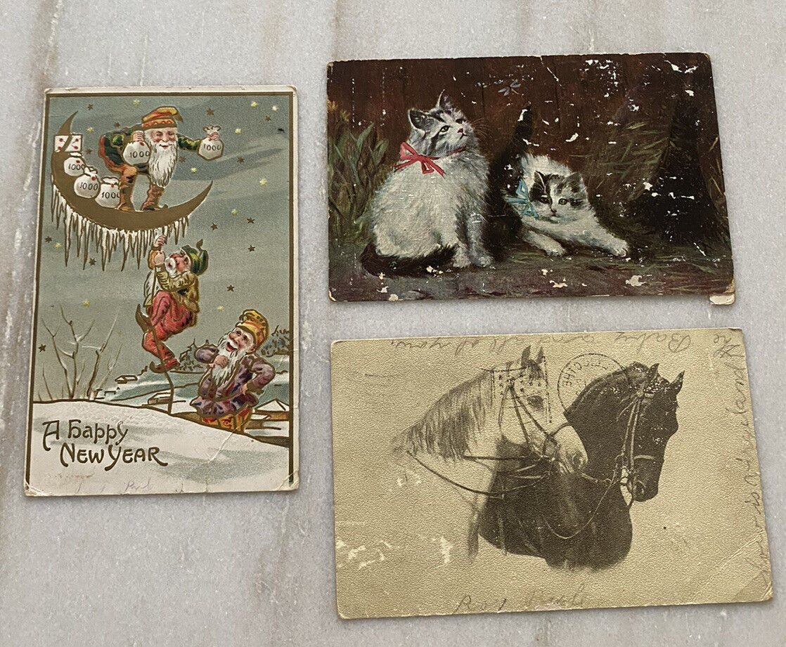 Antique Postcards Happy New Year Horses Kittens Cats Lot 1908 1909