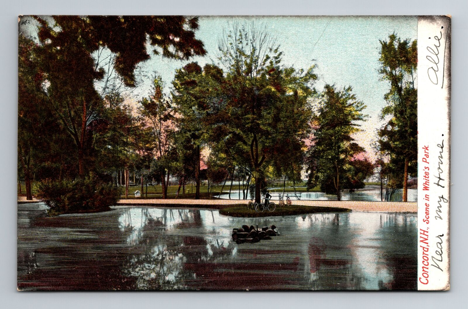 Concord NH-New Hampshire, Scene In White\'s Park, Antique Vintage c1906 Postcard