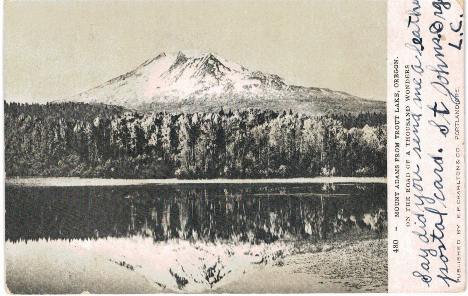 Mount Adams from Trout Lake 1905 