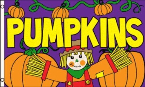 3x5 PUMPKINS For Sale Flag Halloween Pumpkin Patch Advertising Banner Outdoor