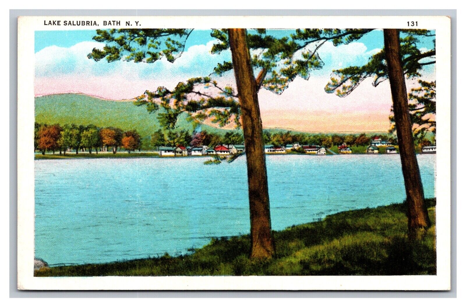 Bath NY New York Lake Salubria White Border Postcard