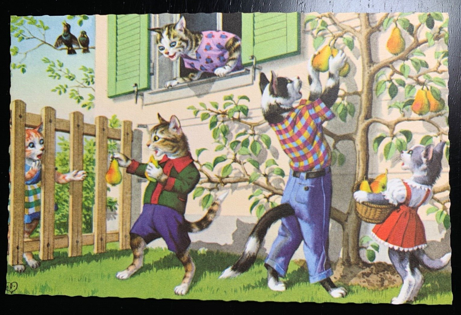 Postcard Mainzer Fantasy Dressed Cats Back Yard Pear Tree