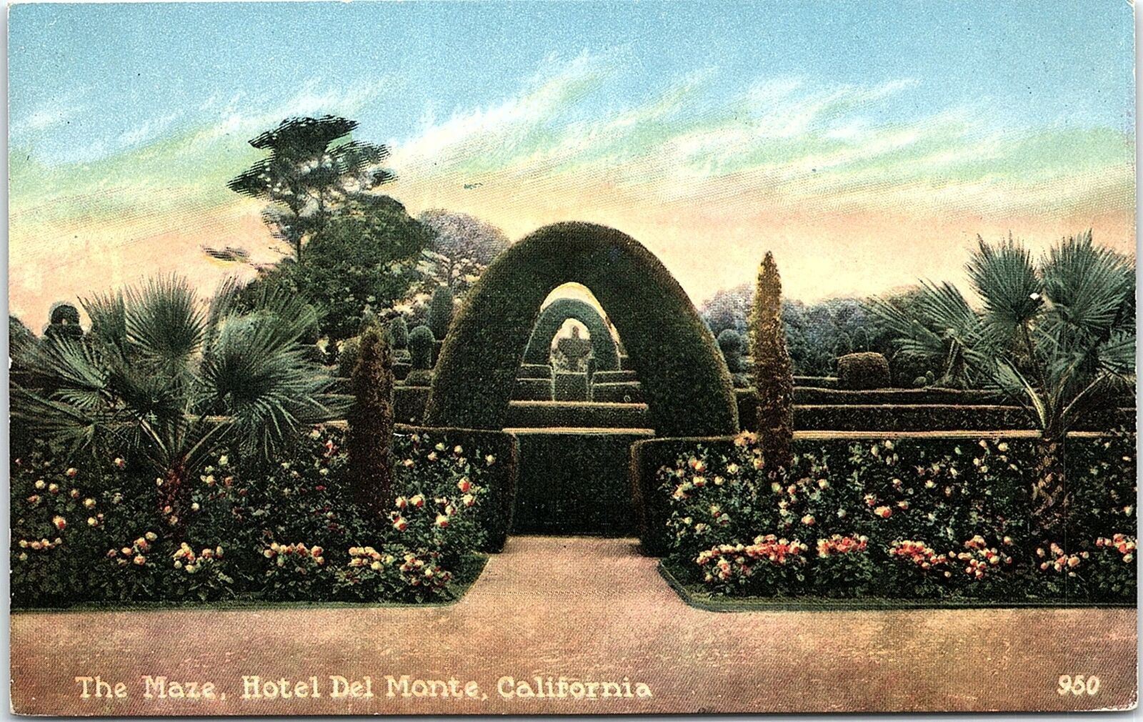 c1910 HOTEL DEL MONTE CALIFORNIA THE MAZE FLORAL GARDENS POSTCARD 41-294