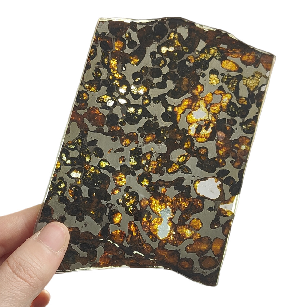 83g SERICHO pallasite Meteorite slice - from Kenya TA14