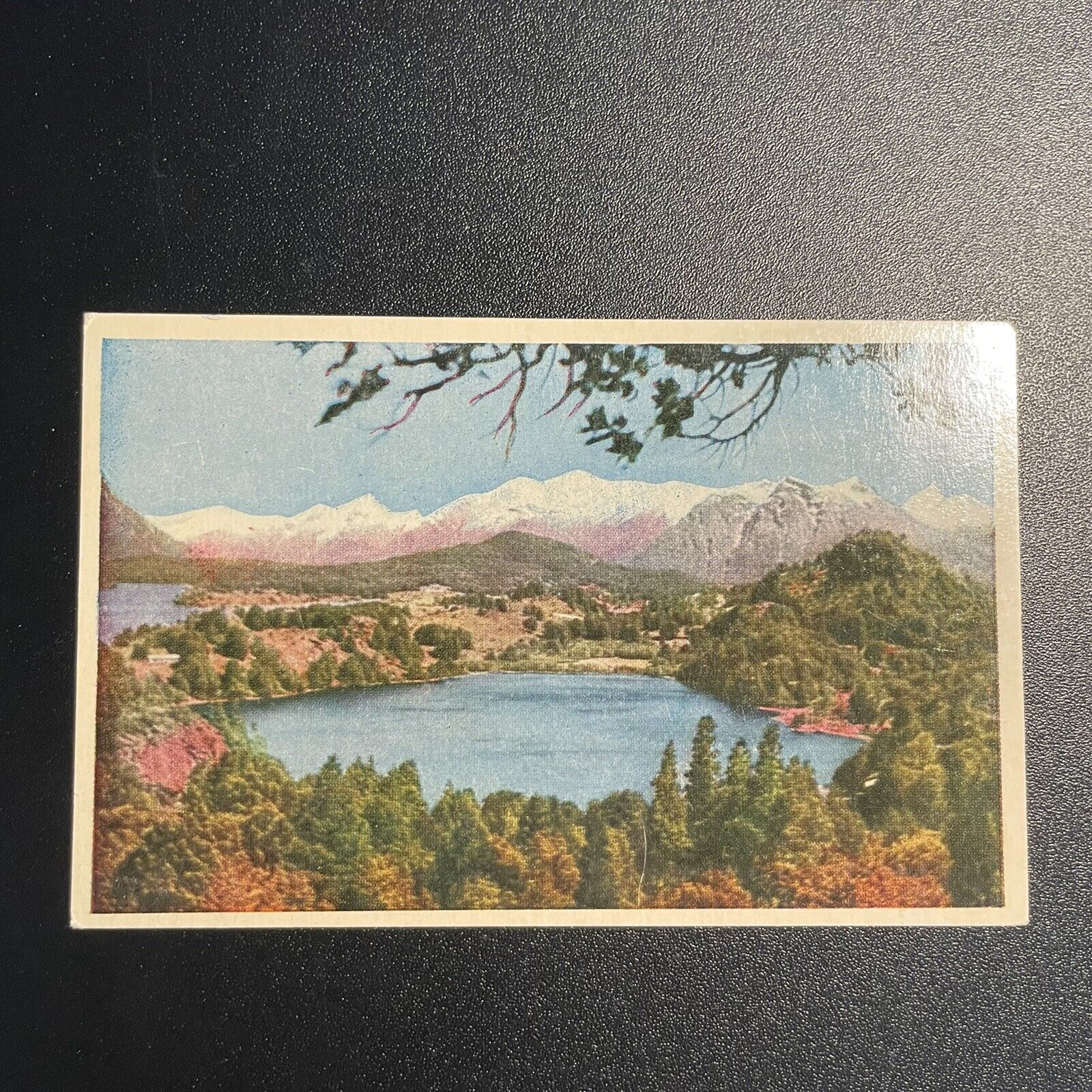 Buenos Aires Lagos del Sud Republica Argentina Vintage Postcard B31