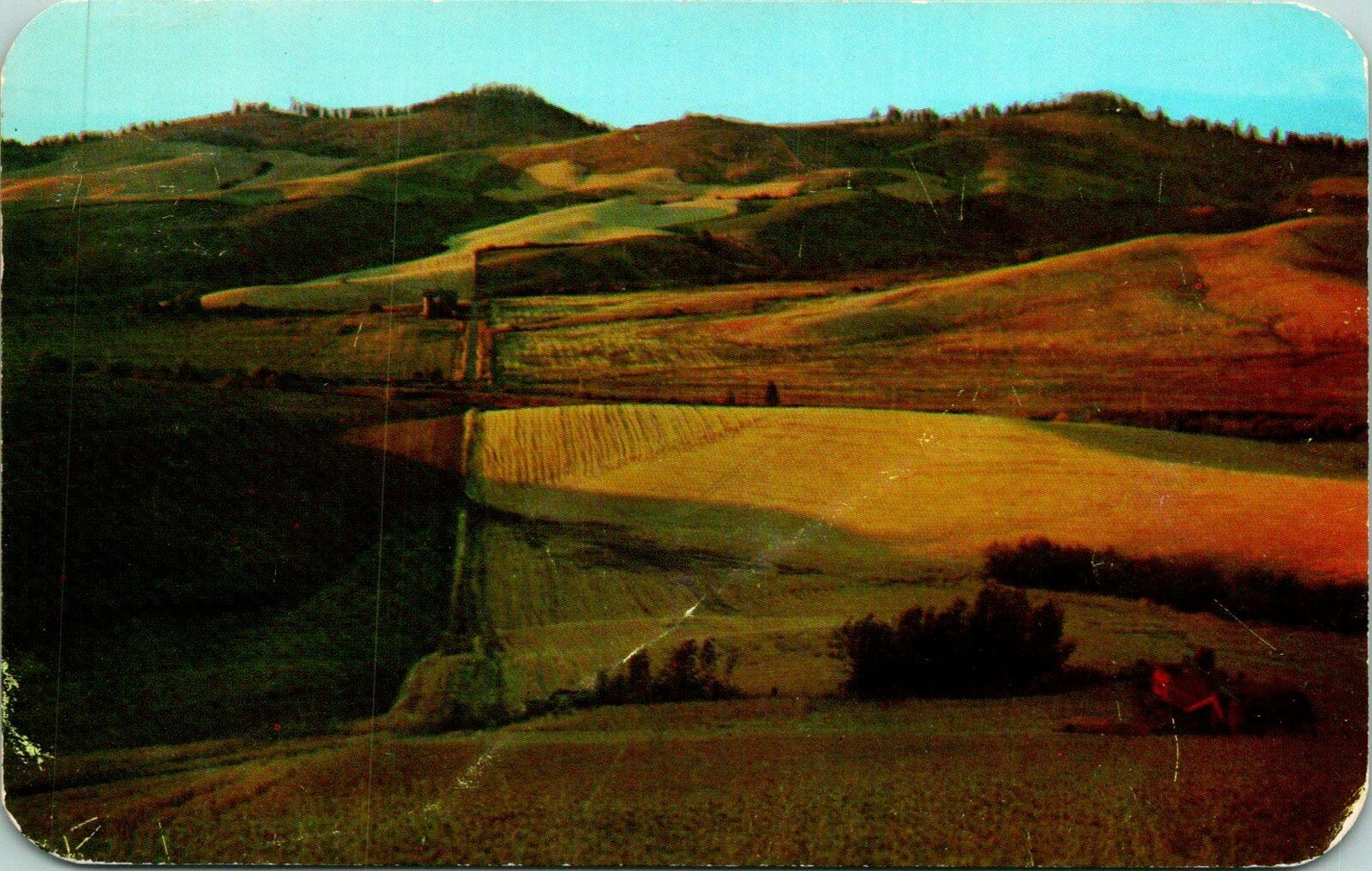 Colfax WA Picturesque Wheat Leands of Palouse Postcard Used (31441)