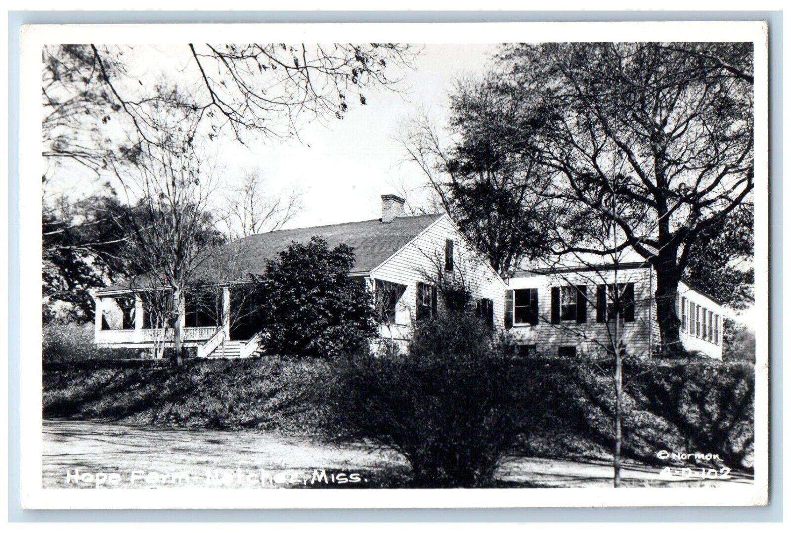 Natchez Mississippi MS Postcard RPPC Photo Hope Farm c1940's Unposted Vintage