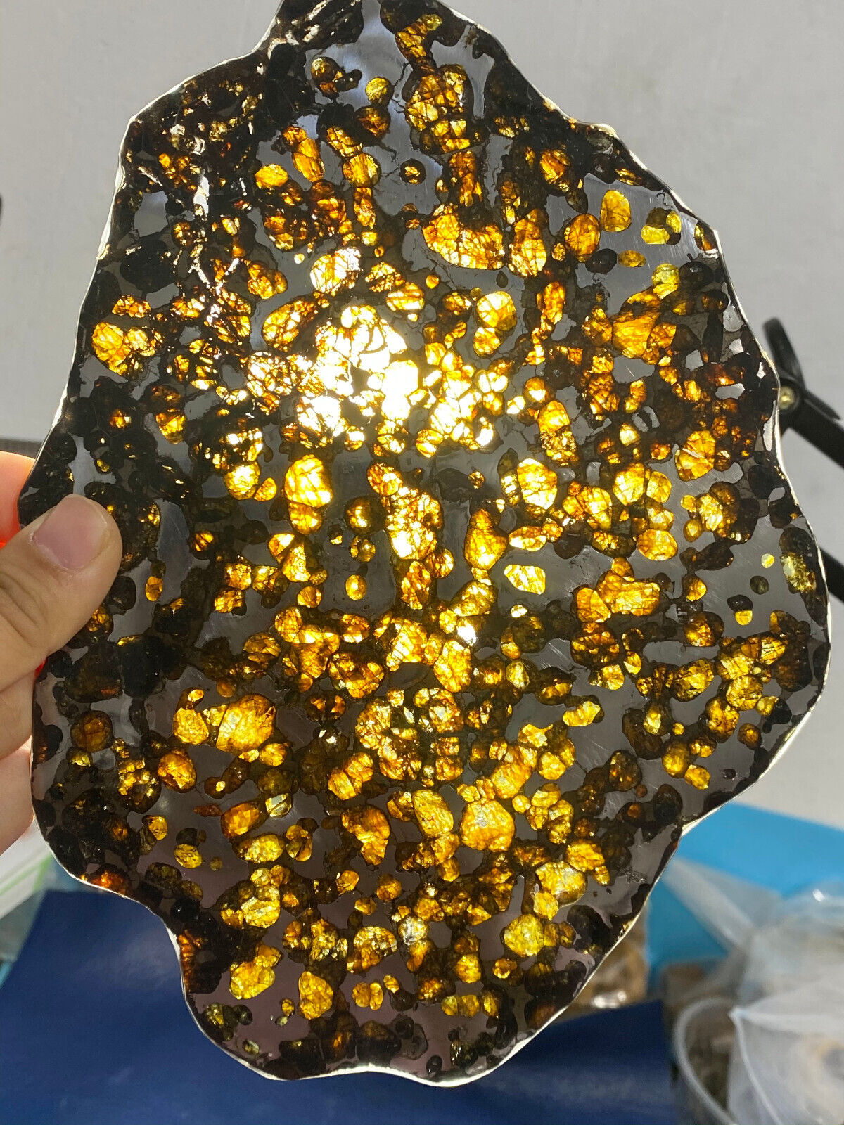 227g Beautiful Brenham meteorite Iron meteorite thin slice-from USA