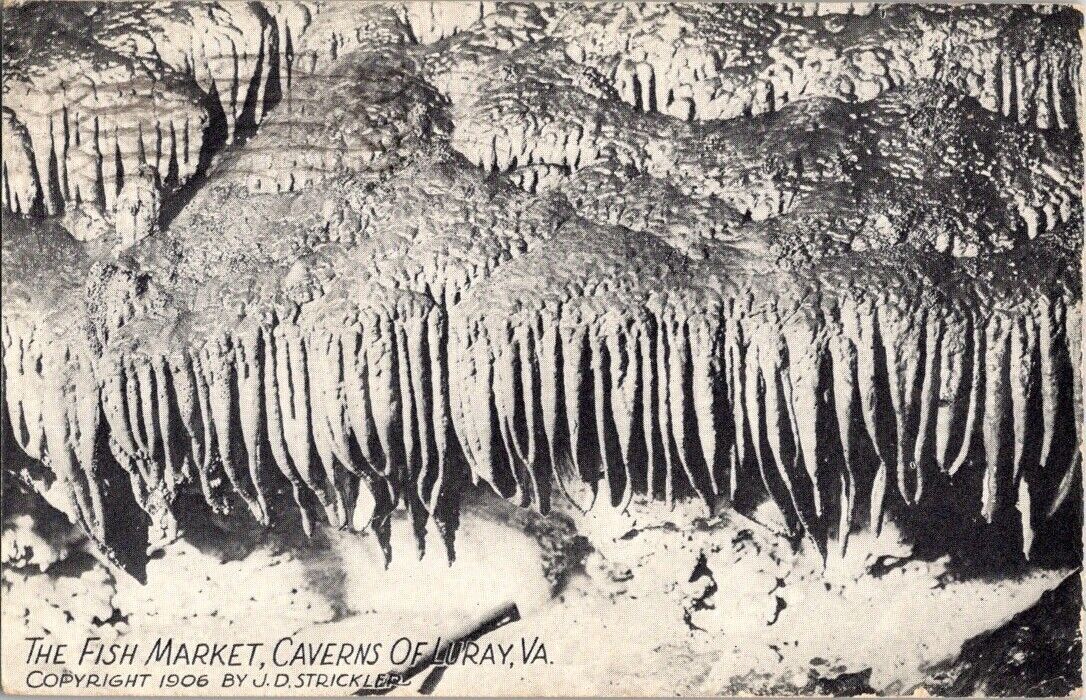The Fish Market Caverns of Luray VA Postcard J D Strickler Antique