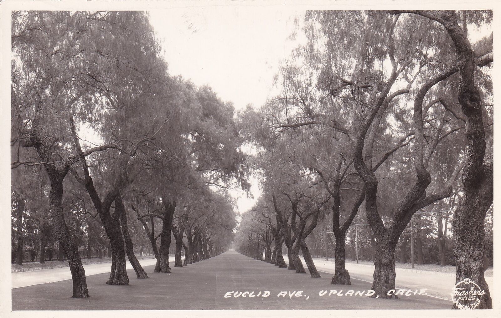 Upland California CA Euclid Ave RPPC Real Photo Postcard D56