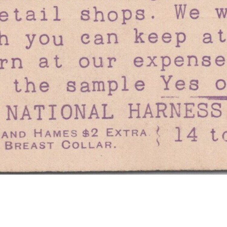1890s Single Harness National Company Wells Street Buffalo New York Advertising