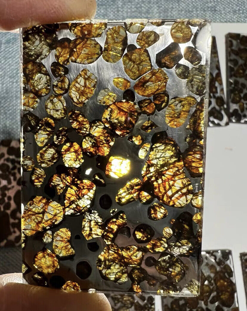 1PC Random SERICHO pallasite Meteorite slice - from Kenya Beautiful Meteorites