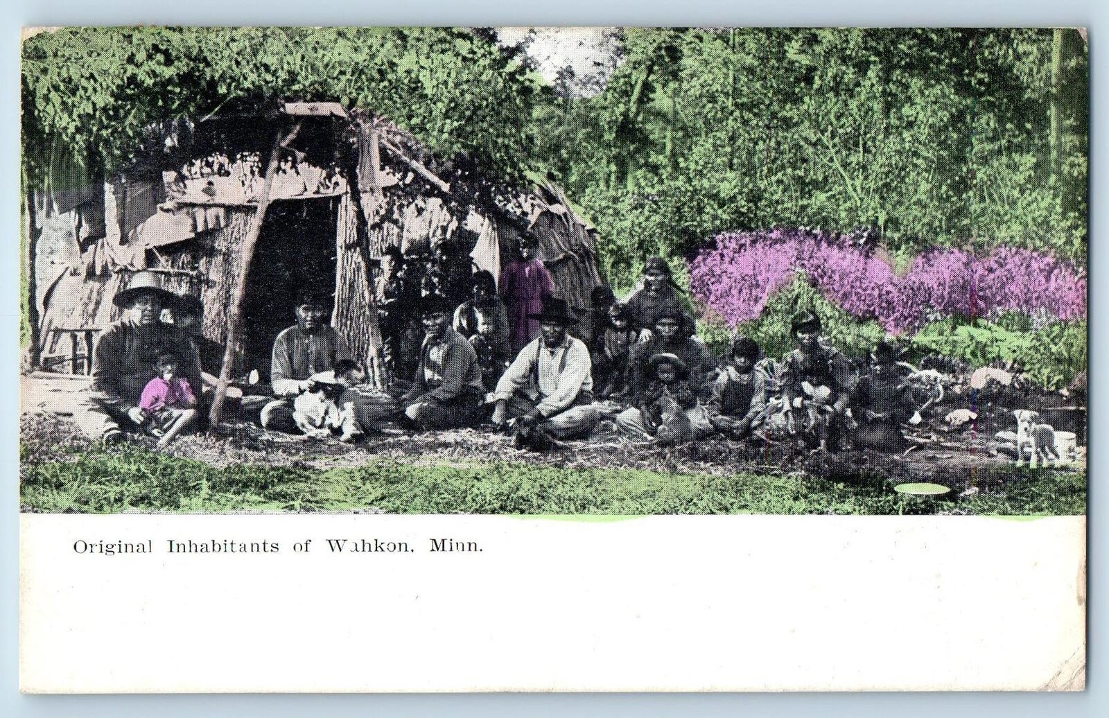 Wahkon Minnesota MN Postcard Original Inhabitants Trees Scenic View 1913 Antique