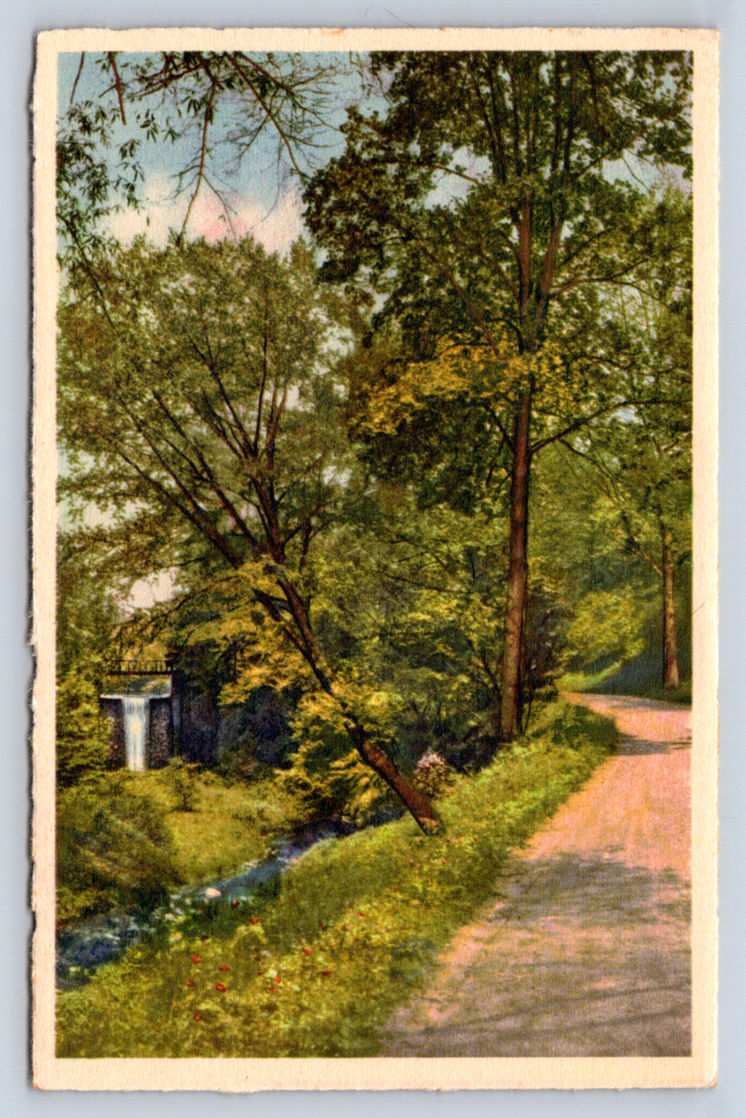Vintage Postcard Woodland Path Scenic View