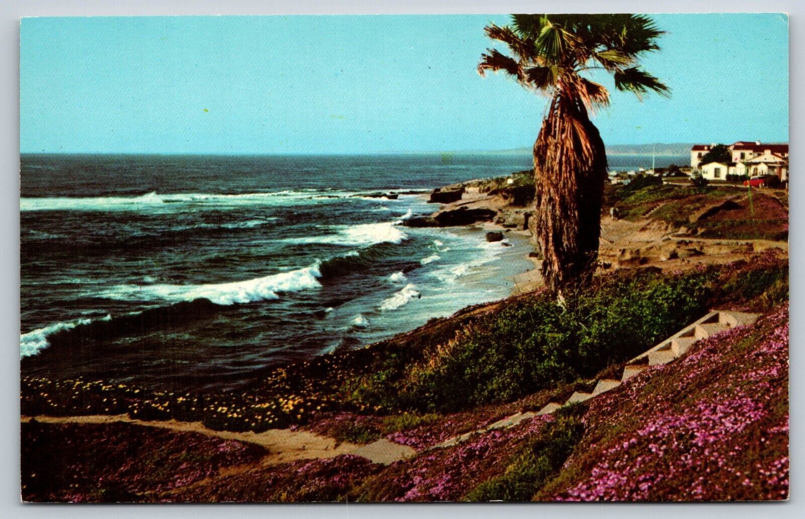 Beautiful California Shoreline Postcard Old Car Palm Tree