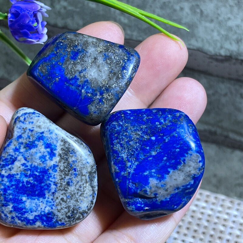 3pcs Rare Natural Lapis Lazuli Polished Stones Crystal reiki Healing 96g  F10