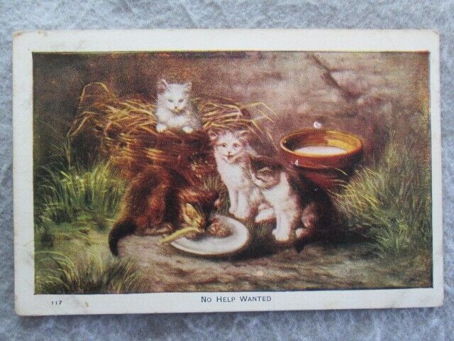 Antique No Help Wanted, 4 Kittens Postcard 1907