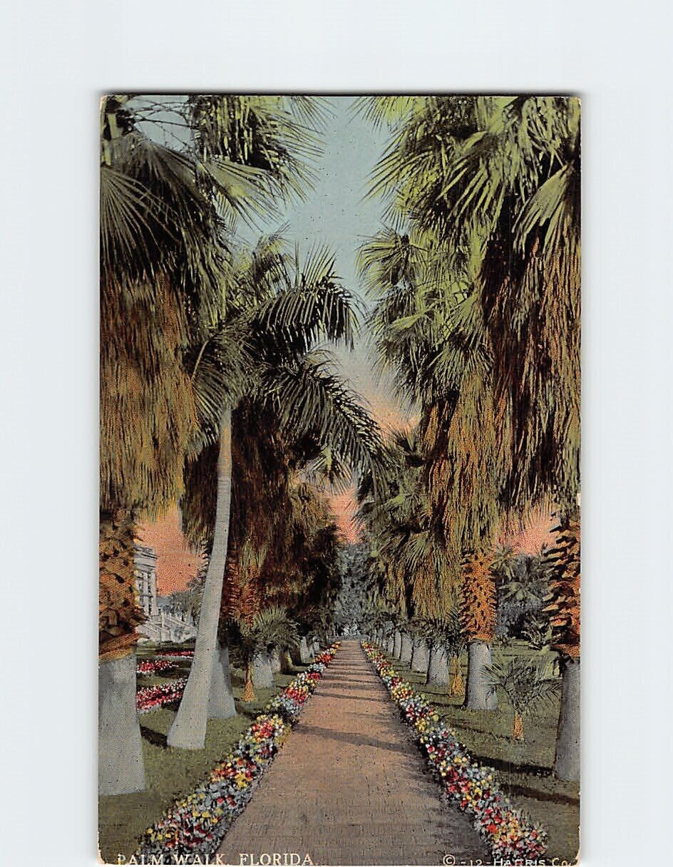 Postcard Palm Walk, Florida