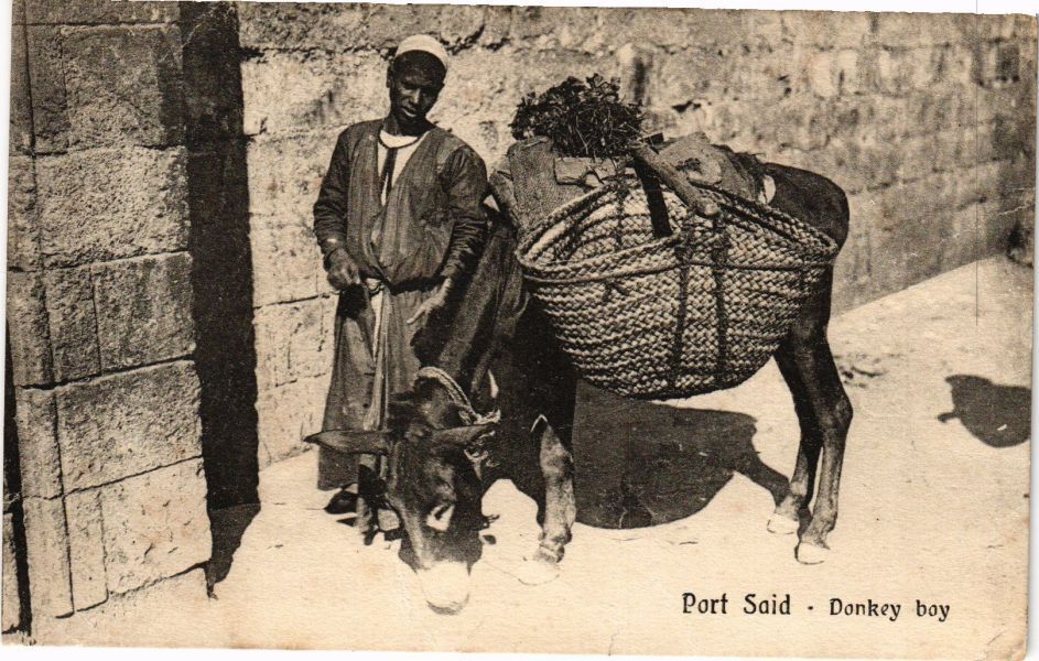 CPA AK Egypt Port Said - Donkey Boy (212940)