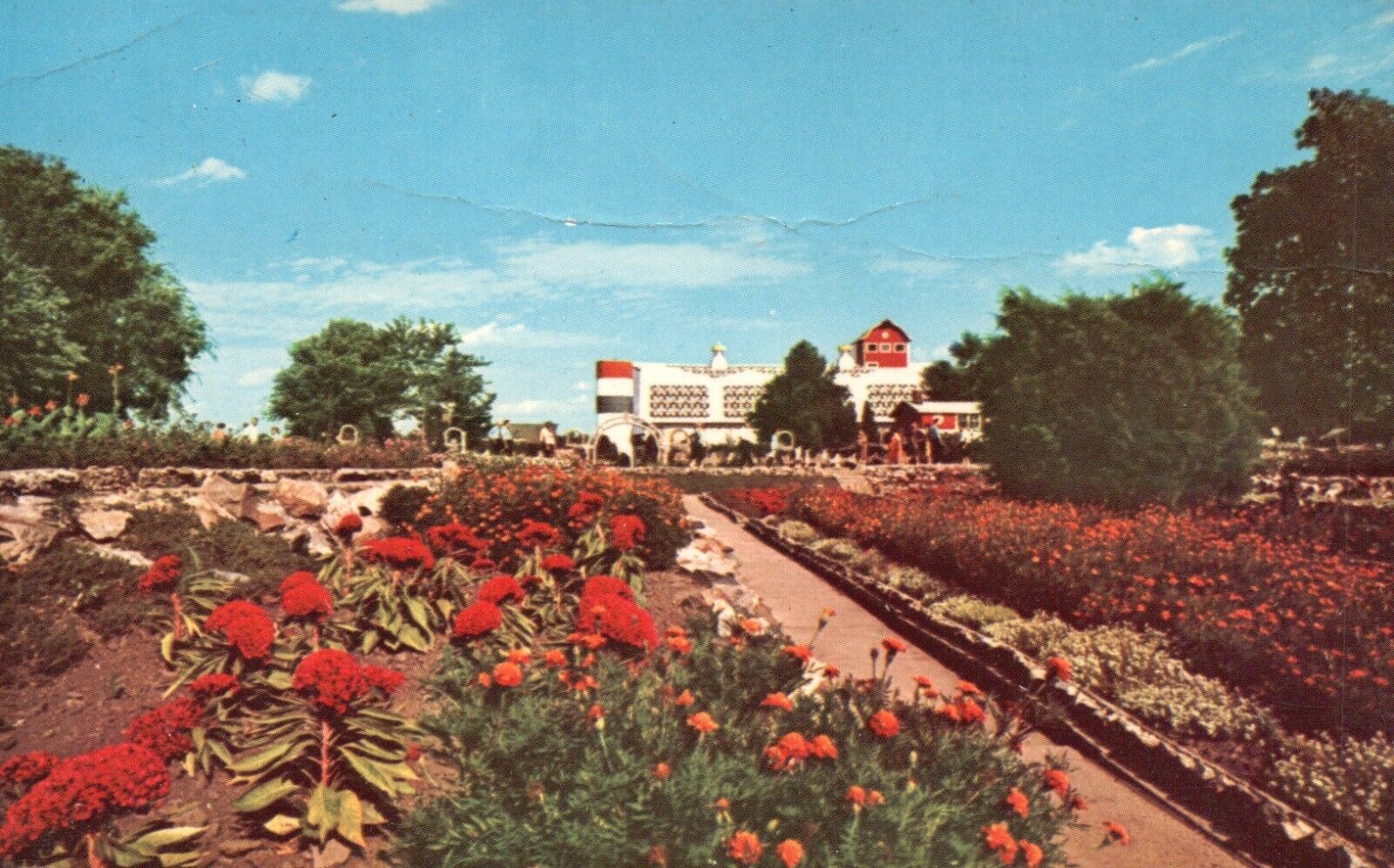 Postcard IL Arcola Greetings from Rockome Gardens Chrome Vintage PC e5863