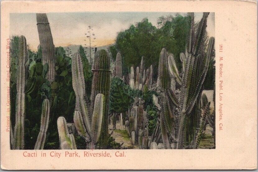 Riverside, California Hand-Colored Postcard \