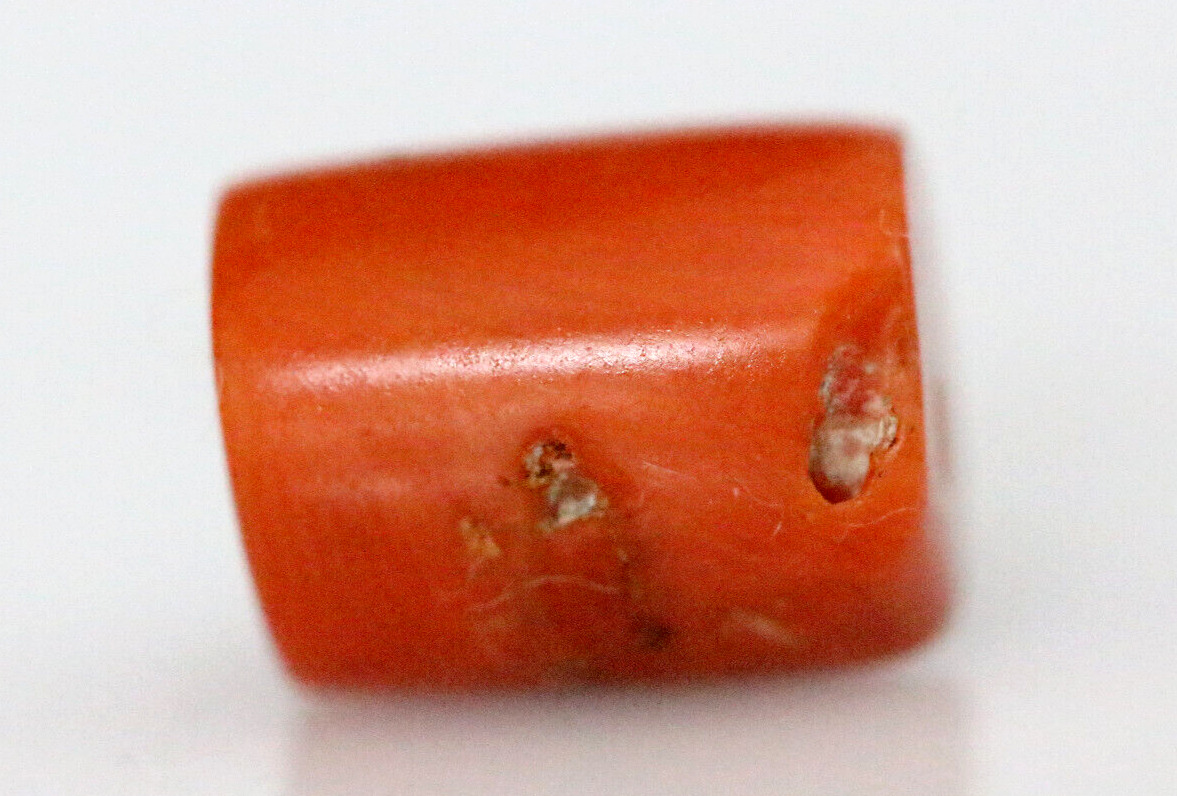 Ancient Red Coral Bead. Near Eastern Red Coral Bead. 111mm 8 Carat #D140