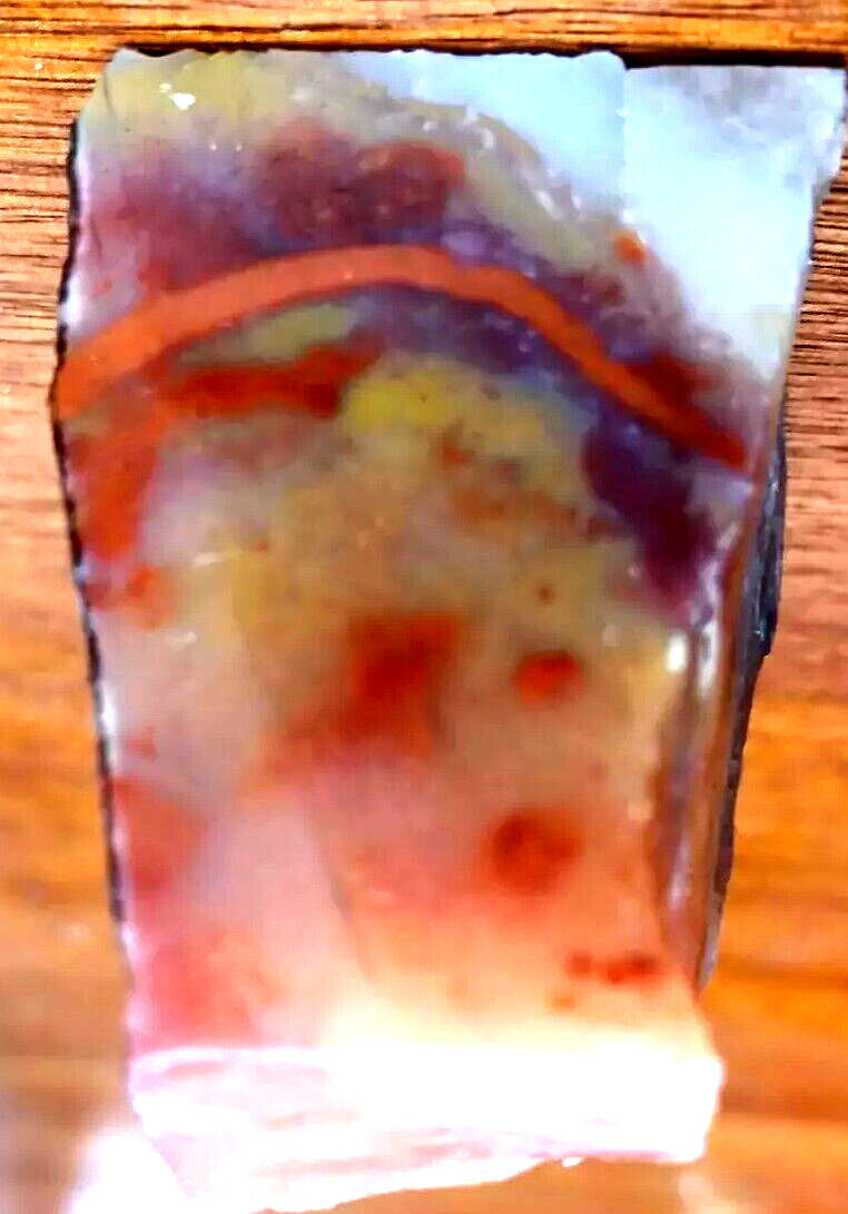 Volcanic Petrified Wood Limb Cast Cut 3 Side Vivid Purple Color Red Bands Yellow