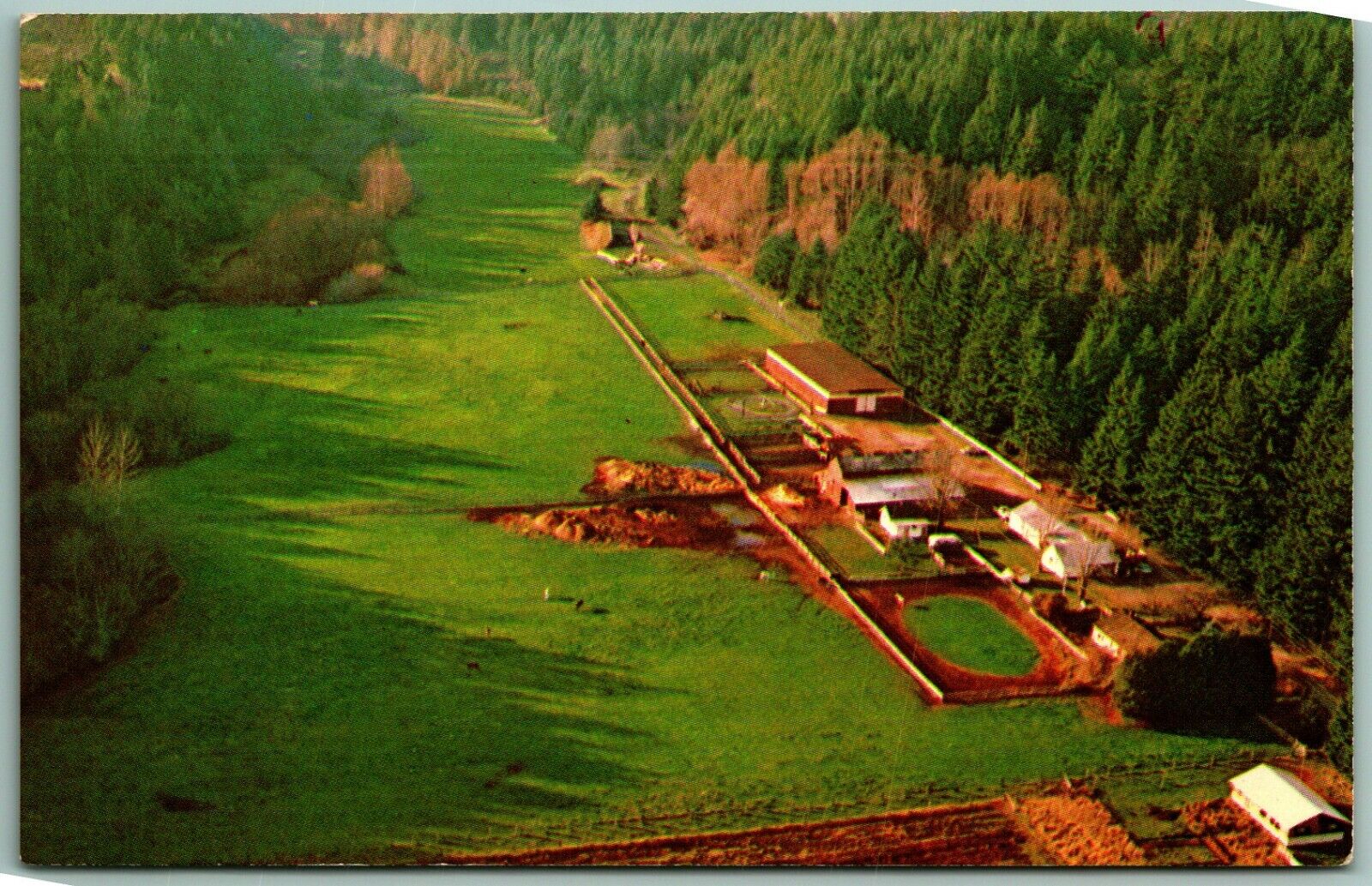Fadlings Flying B Ranch Aerial View Olympia Washington WA UNP Chrome Postcard G4