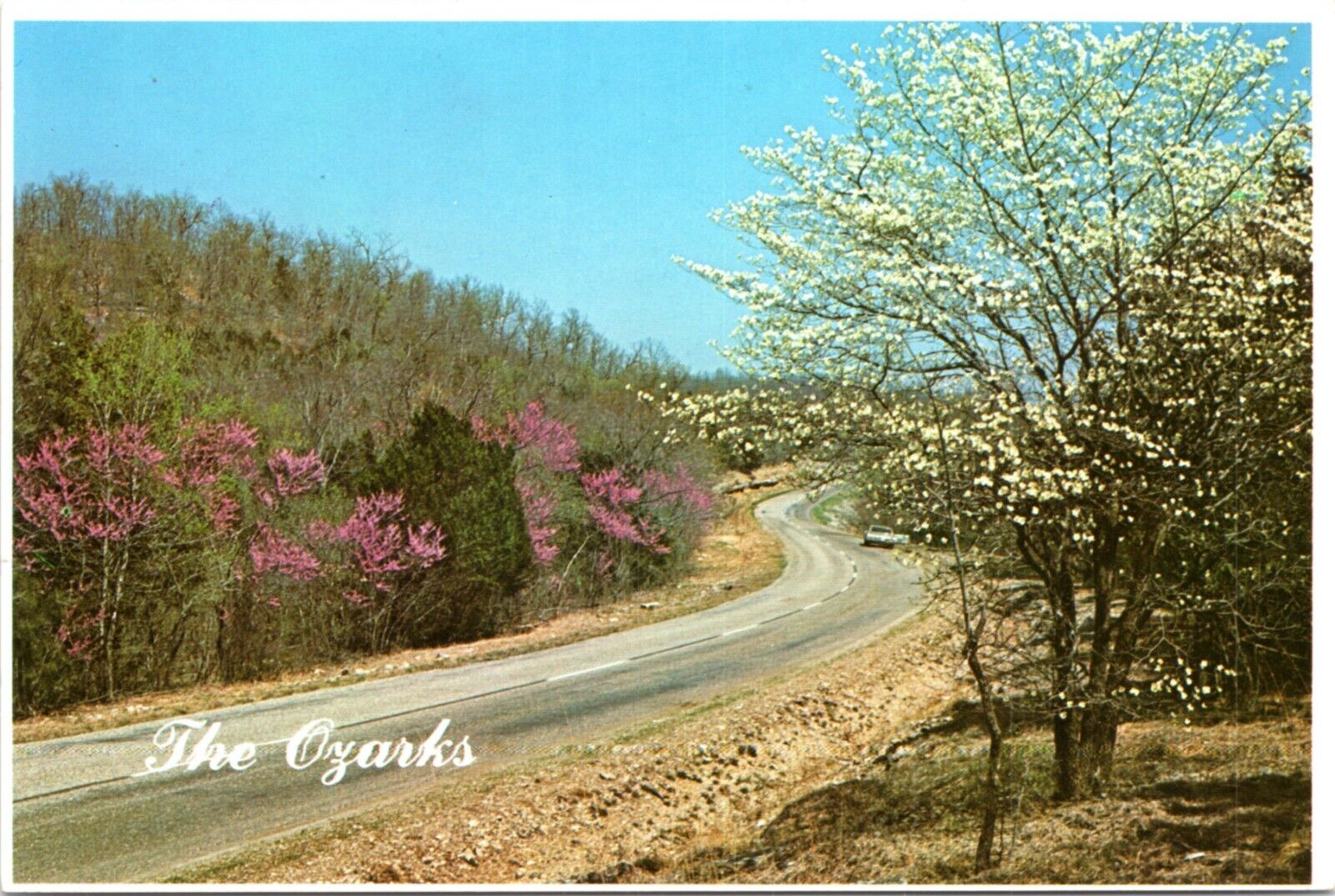 Postcard MO Springtime in the Ozarks - country road