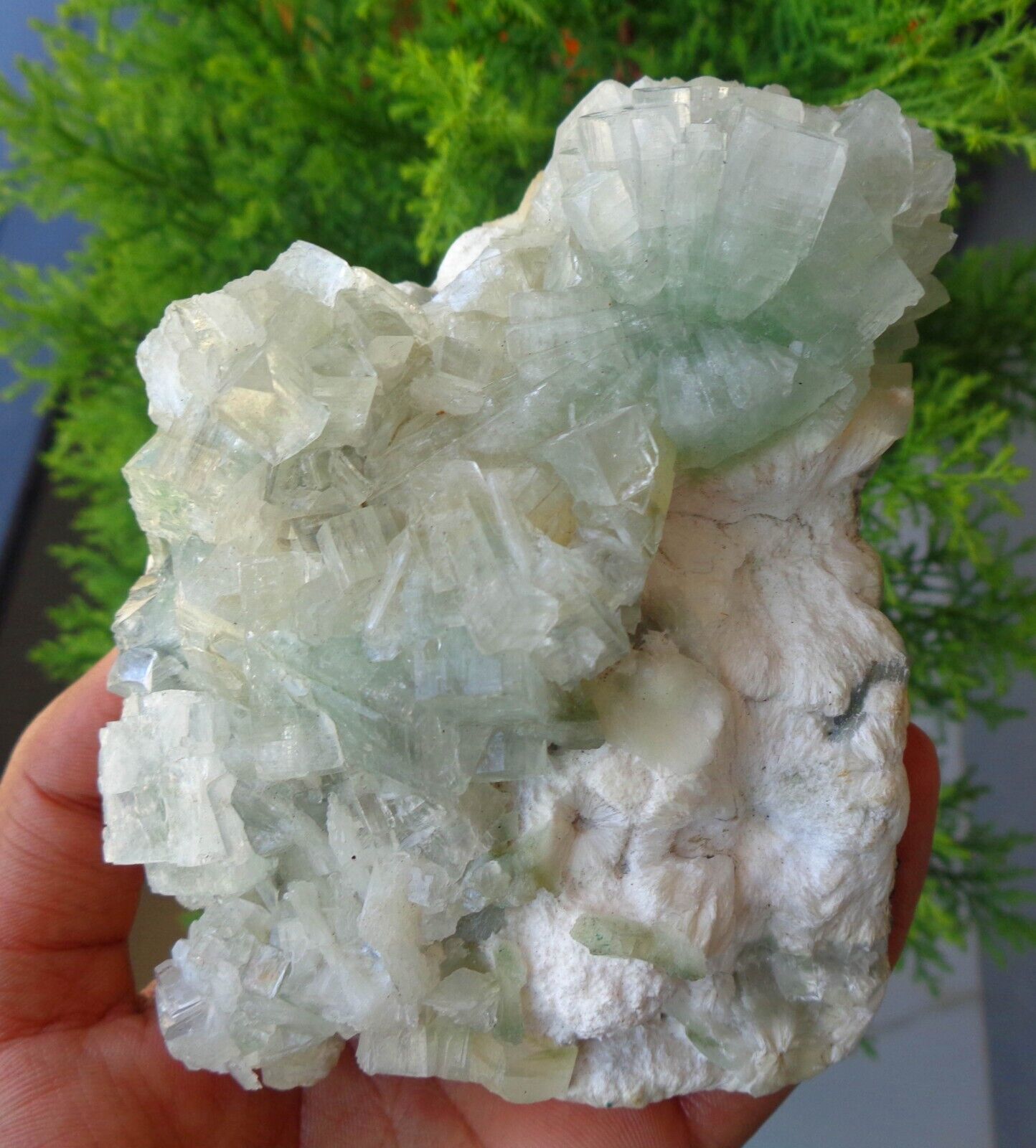Green Apophyllite Crystals w/ Mordonite On Matrix Minerals Specimen #E75