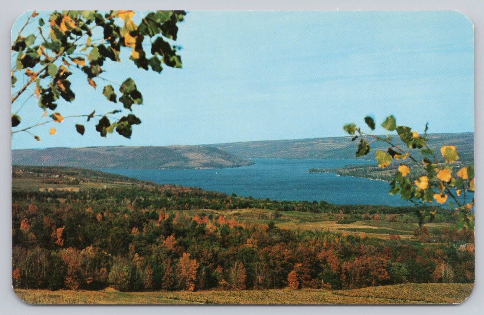 Hammondsport New York, Lake Keuka Autumn Colors Scenic View, Vintage Postcard