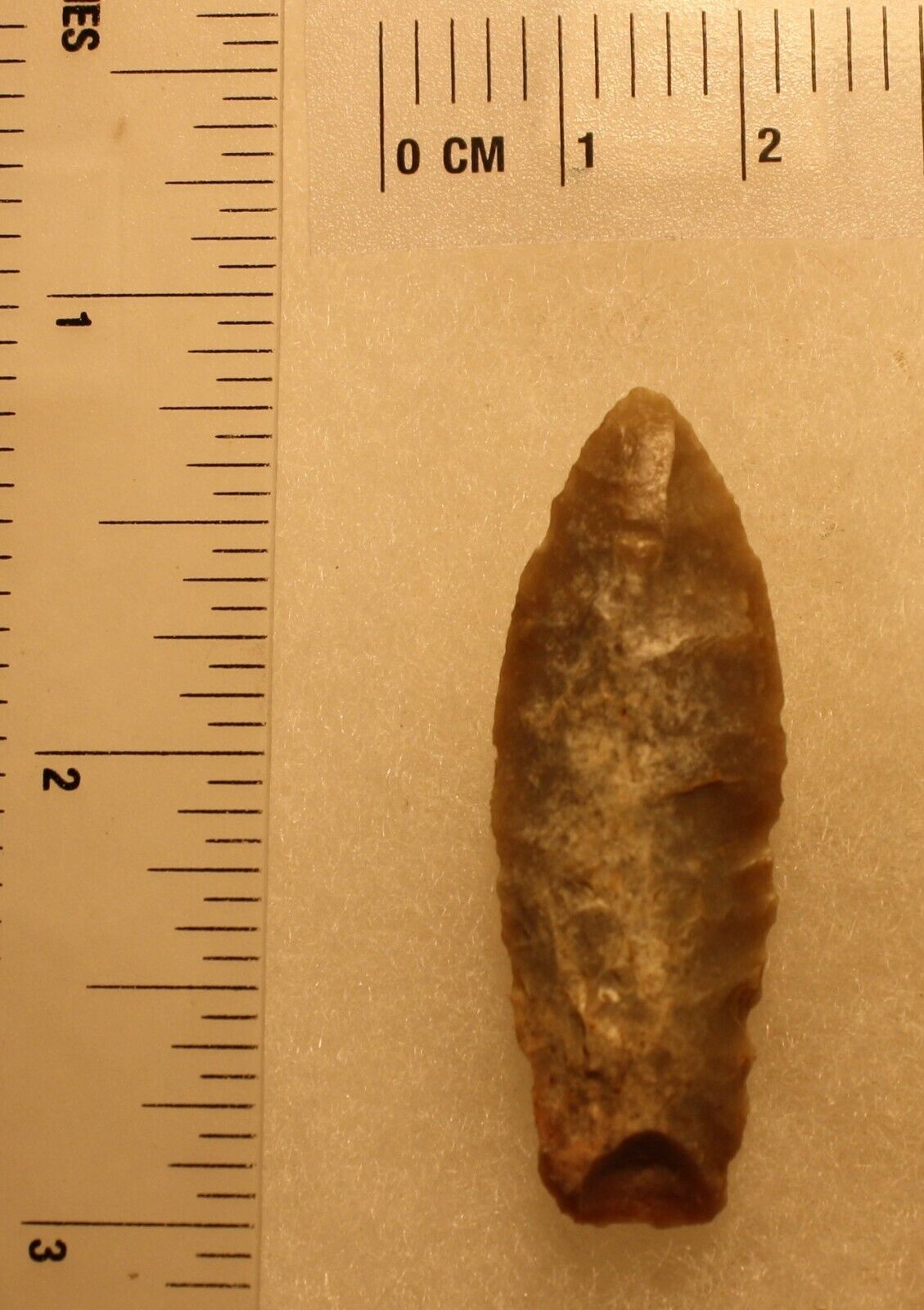 Prehistoric Texas  Artifact  Archaic Lanceolate From Bandera  W/ German COA