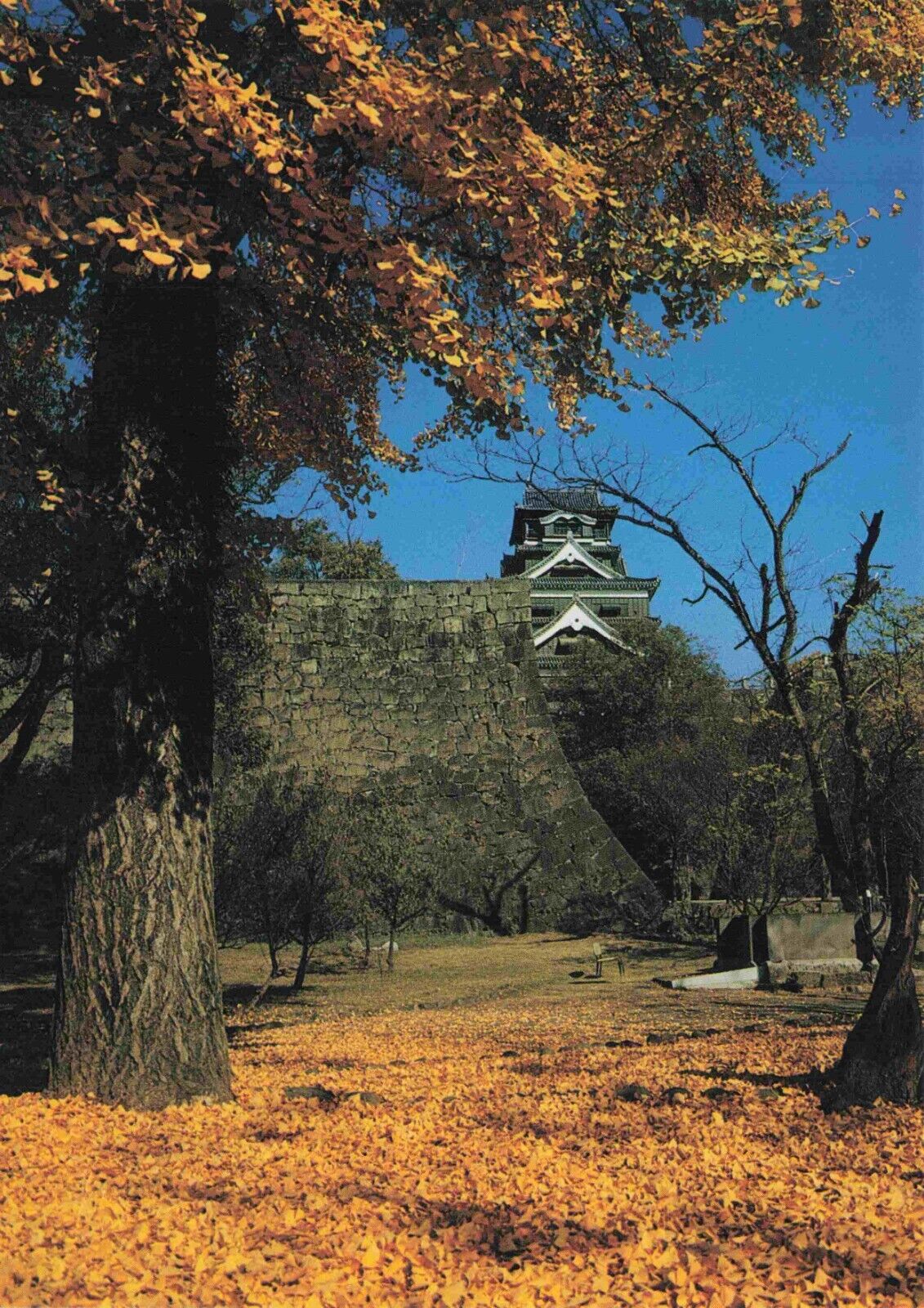 Kumamoto Japanese Postcard - Kumamoto Castle Vtg  #72
