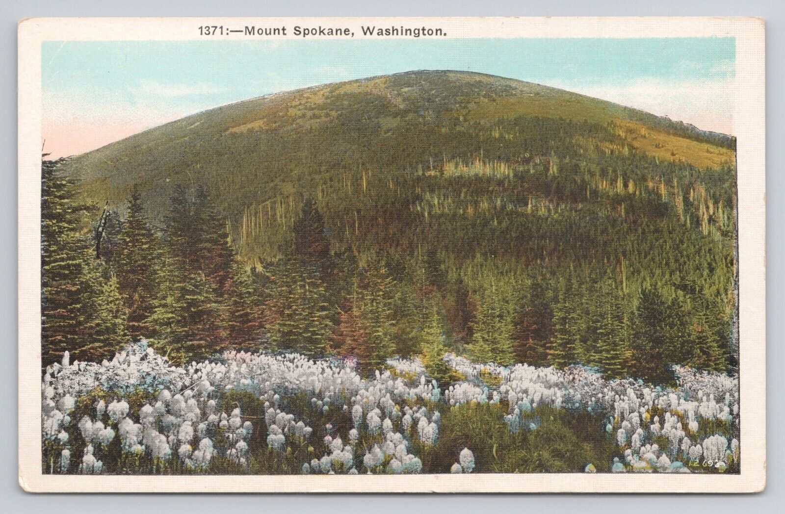 Postcard Mount Spokane Washington
