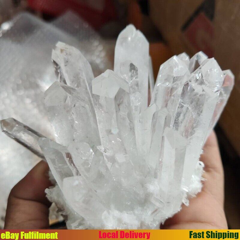 150g Large Natural White Clear Quartz Crystal Cluster Mineral Rock Healing Stone