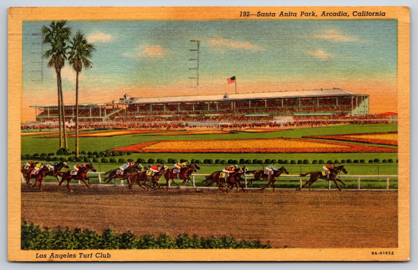 Postcard Los Angeles Turf Club, Santa Anita Park, Arcadia California Posted 1954