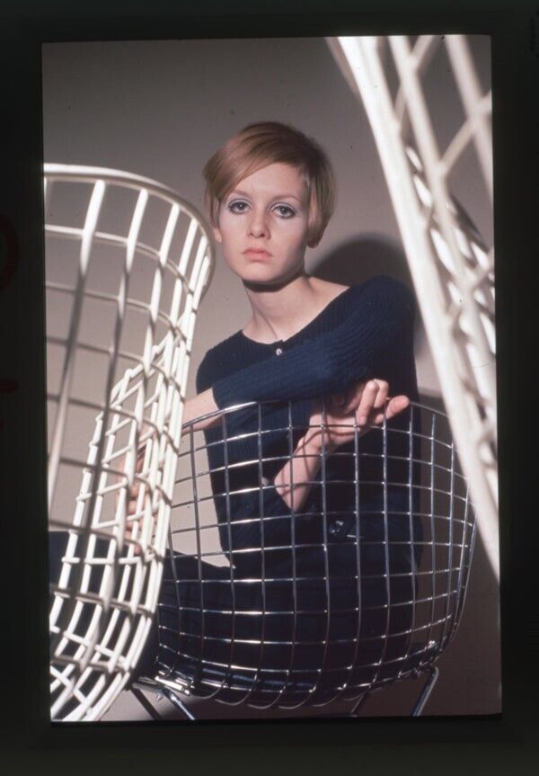 Twiggy 1960's Modeling Fashion Shoot MCM Bertoia Chair Photo Agency Transparency