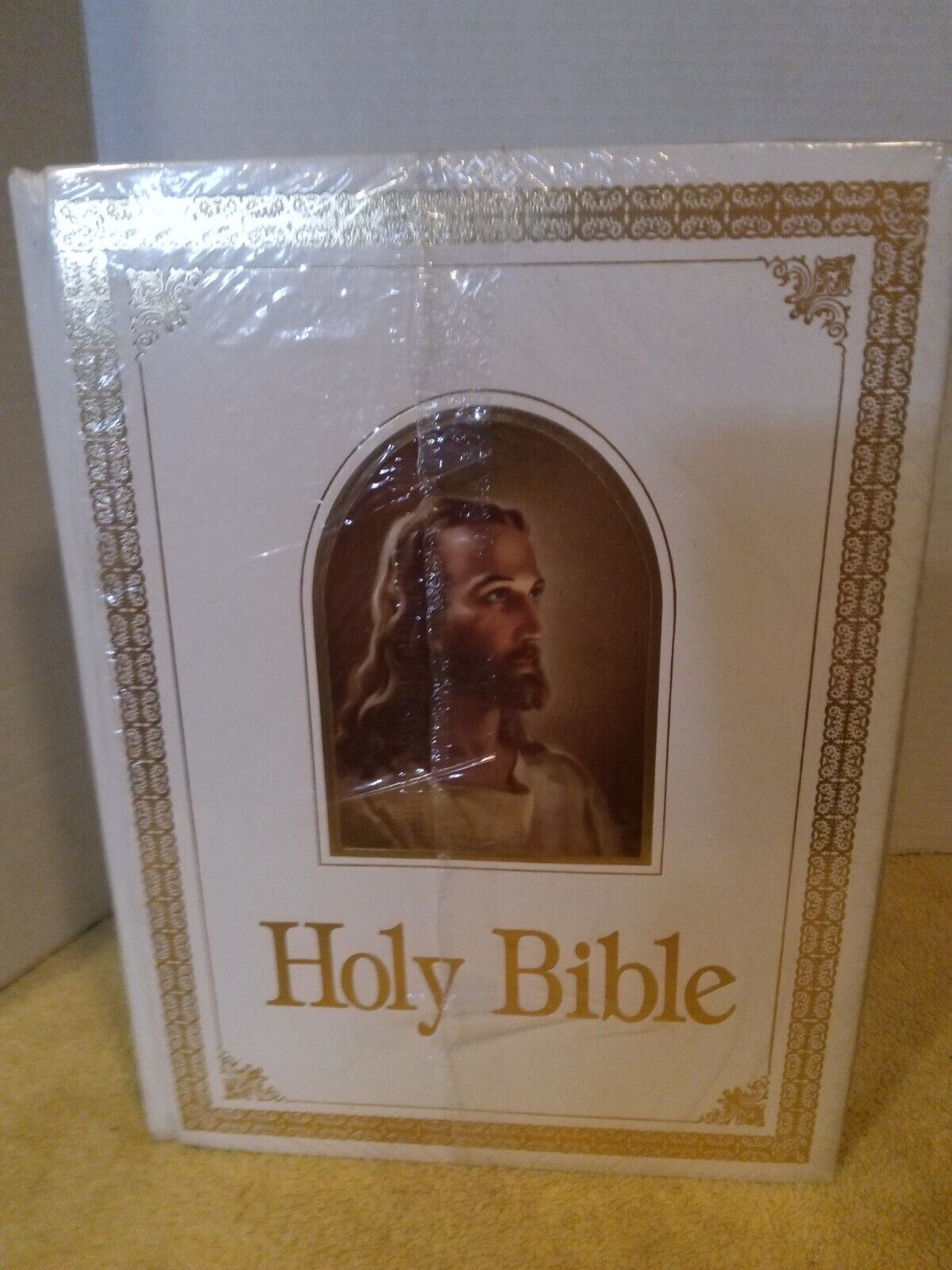 Holy Bible Classic Deluxe Family