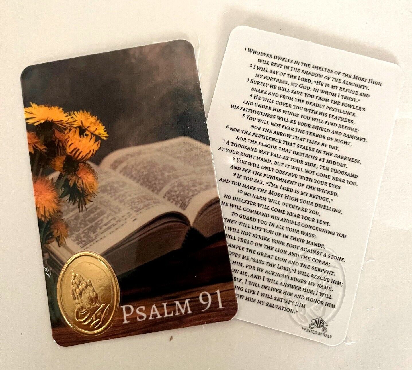 Psalm 91 Art Prayer Card Inspirational Bible Verse, Quotes, 3.25x2.25\