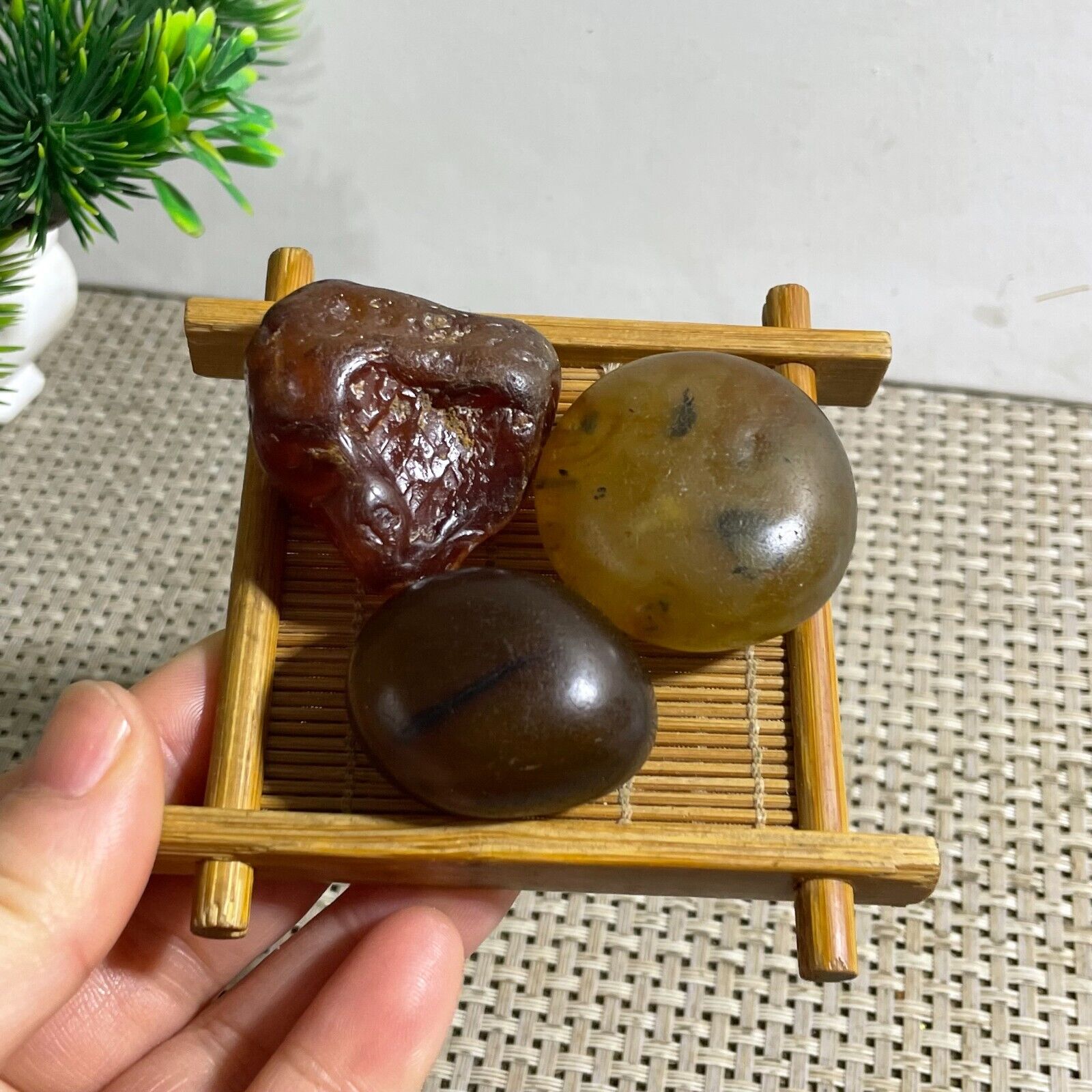 3pc 96g Bonsai Suiseki-Natural Gobi Agate Eyes Stone-Rare Stunning Viewing