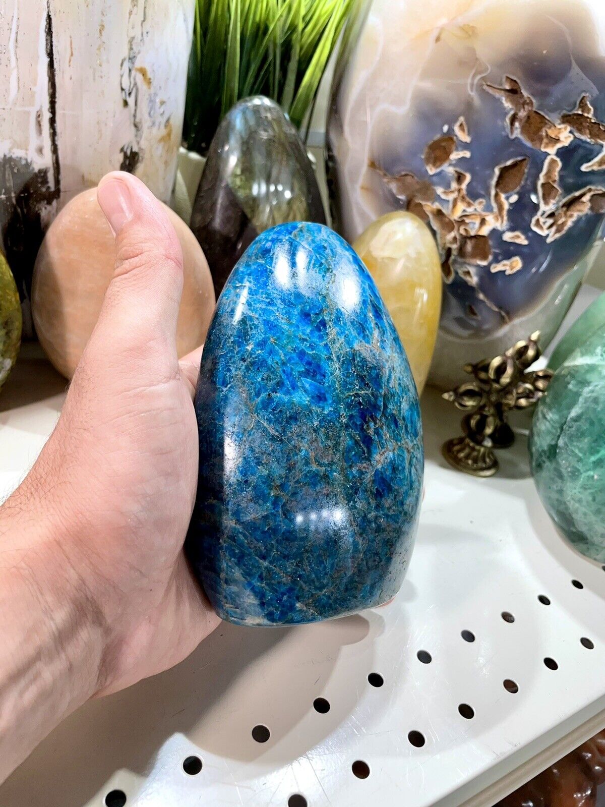 Blue Apatite Crystal Rock Healing Crystals Yoga Reiki Meditation Size 6x4” ZENDA