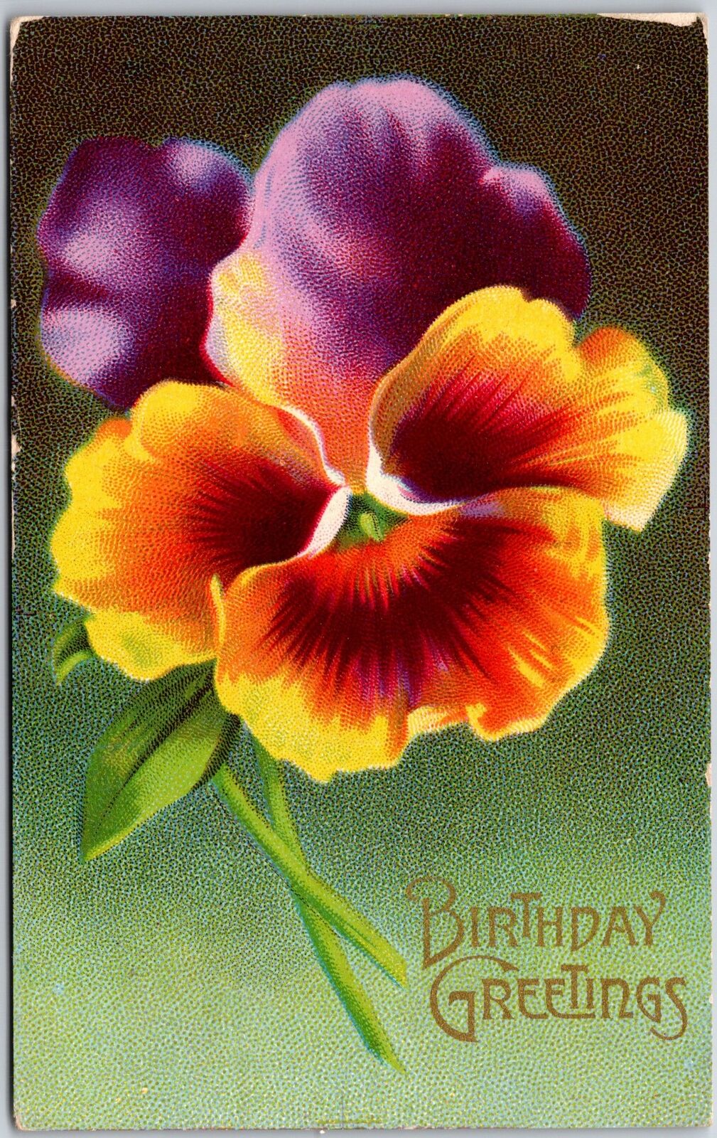 1911 Birthday Greeting Pansy Flowers Large Print Posted Postcard